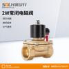 Válvula Solenoide 2W Normalmente Fechada Toda em Cobre Válvula de Água Ac220V Válvula de Controle de Drenagem e Entrada de Água Dc24V 1/2 Polegada 3/4 Polegada 1 polegada