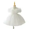 Vestido de Festa Infantil 2026 Vestido de Daminha Vestido de Princesa Vestido Longo para Crianças Maiores vestidos de noiva