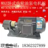WBZ-16/25/20/32JZ Unidade de Dispositivo de Motor de Bomba de Óleo de Engrenagem Horizontal WBZ2-16/25/32 1.1KW