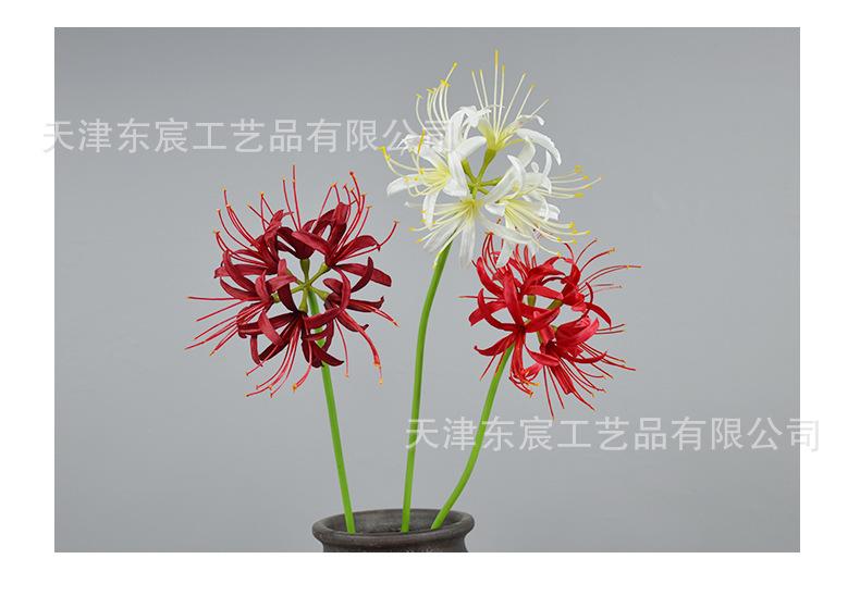 详情_14.jpg
