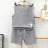Traje de Chaleco para Niños Verano Waffle Niños y Niñas Pantalones Cortos Ropa de Verano Ropa de Bebé Ropa Infantil Fabricante Lote