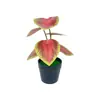 Planta Verde de 6 Piezas Mini Planta en Maceta 3D Planta Artificial de Escritorio Bonsái Parque Patio Micro Paisaje Decoración de Flores Artificiales