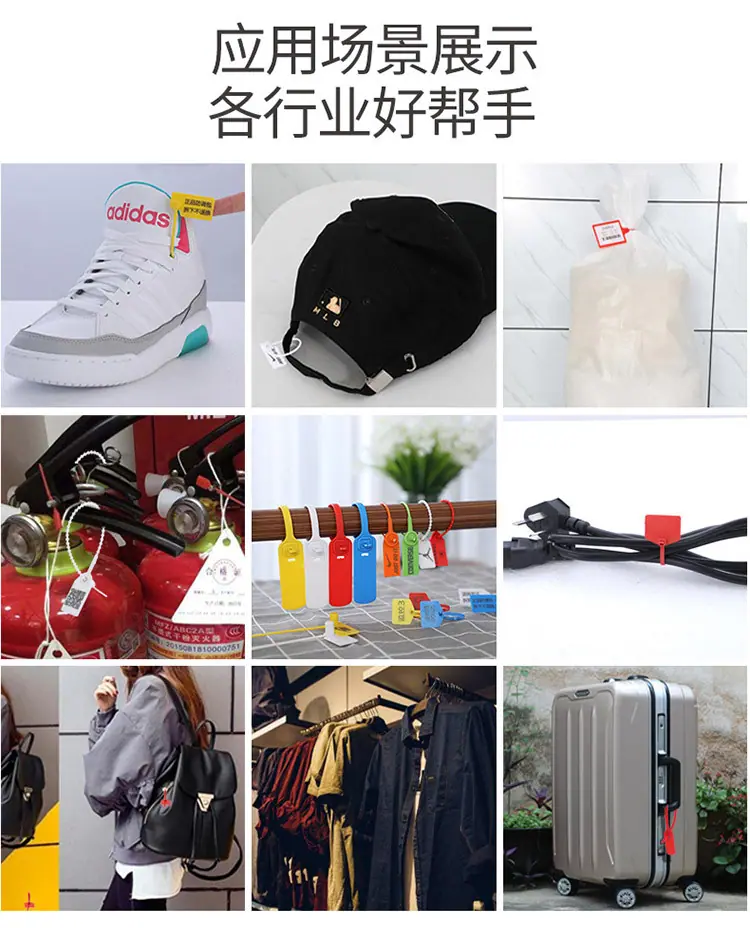 真7.jpg