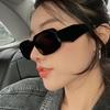 Moda Clásica Europea y Americana 2022 Nuevo Asimétrico Celebridad de Internet Mismo Estilo Gafas de Sol Fotografía Callejera Transfronterizo Gafas de Sol Modernas Elegantes