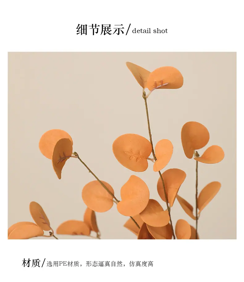 欣荣PE36片叶尤加利_12.jpg