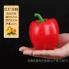 Simulación Modelo de Frutas y Verduras Espuma Pimienta Zanahoria Pepino Calabaza Ajo Maíz Decoración Enseñanza Infantil Concientización