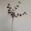 Fornecimento Transfronteiriço Flores Artificiais Estilo Europeu Atacado Folhas de Eucalipto com 3 Pontas Folhas de Dinheiro Decoração para Casa Flores e Folhas Artificiais