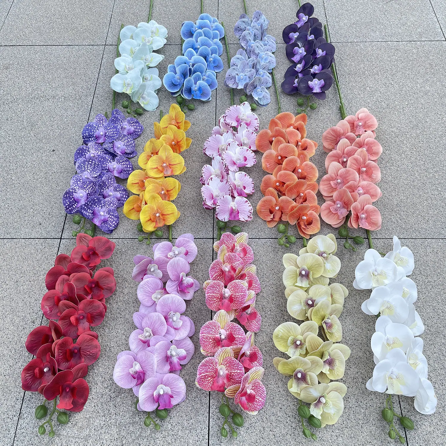 主图 花溪谷 9头短杆3D打印蝴蝶兰-xlmwdx 色卡.J