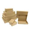 Caja para Avión Personalizada Corrugada Plegable Caja Cartón Tricapa Extra Duro Logística E-Commerce en Stock Multiespecificación Cartón Color Sólido