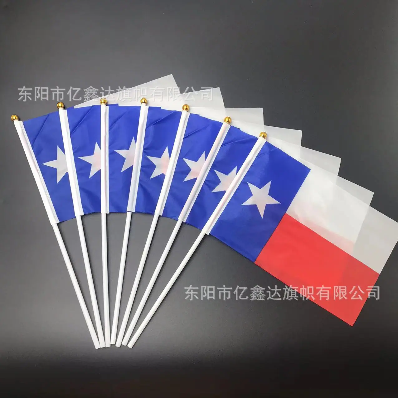 德克萨斯州 (1)