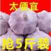 Venda Direta de Alho Roxo Cultivado na Fazenda de Shandong, do Local de Origem, de Dentes de Alho a Cabeças de Alho Inteiras, Atacado Shandong Wangxin, Outros