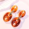 Aretes Vintage Otoño e Invierno Ovalados Nariz de Cerdo Acrílicos Aretes de Sentido Avanzado Nicho Moda Aretes Accesorios para la Oreja para Mujeres