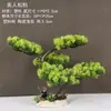 Decoração de Enfeite de Mesa Pinheiro Bem-vindo Pequeno Pinheiro Plantas Verdes Plantas Aquáticas Mini Rochedo Aquário Paisagismo Hotel