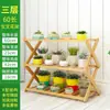 Estantería de esquina de plantas naturales para jardín de infantes materiales de decoración ambiental accesorios para registro de observación de plantación de primavera taza de planta verde