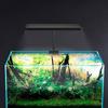 Lâmpada LED para plantas de aquário luz de espectro total RGB super brilhante com clipe luz para aquário pequeno iluminação especial wanzhan