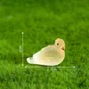 Paisaje de musgo en miniatura transfronterizo creativo pájaro paloma pequeño luminoso accesorios decorativos DIY mini adornos pequeños
