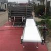 Fornecimento de transportador de correia para embalagem de medicina herbal chinesa, elevador de correia com saia tipo Z, transportador de linha de triagem expressa