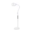 Lámpara LED directa de fábrica para tatuajes salón de belleza lupa 8x Luz Fría Lámpara de pie Songyue