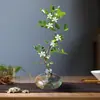 Planta Hidropônica Jiulixiang Flor Planta Verde Interior Qilixiang Jasmim de Vaso Mesa de Escritório Planta Preguiçosa Cultivada em Água
