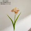 Maceta Clivia Estilo INS Flores Artificiales para Decoración del Hogar Flores Falsas al por Mayor Ramos de Mano Decoraciones de Boda Transfronterizas