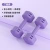 Halteres Coloridos para Equipamento de Fitness Caseiro Feminino Kettlebells para Crianças e Alunos do Ensino Fundamental Conjunto de Halteres de Yoga com Peso Ajustável