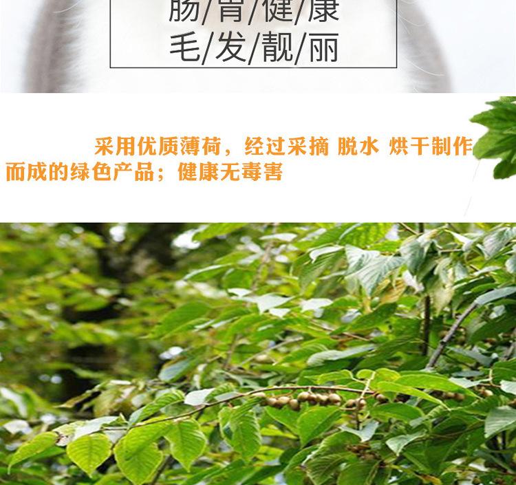 猫薄荷球_06.jpg