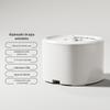 Alimentador Automático para Animais de Estimação Pamper Smart Wifi Bluetooth Dispensador Automático de Água Inteligente para Gatos Suprimentos para Animais de Estimação Dropshipping