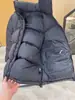 Listo para enviar desde la fábrica de Putian, versión americana de la chaqueta acolchada North Face 1996 para hombres y mujeres, chaqueta corta acolchada Nfc700