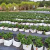Directamente de fábrica, bolsas de cultivo de plástico especializadas para cultivo sin tierra, bolsas de cultivo universales engrosadas en blanco y negro para frutas y verduras