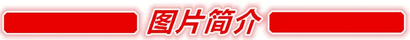 图片简介