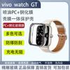 Funda Protectora Integrada de Película para vivowatchGT Carcasa de Reloj PC Templado Película Protectora con Spray Mate Todo Incluido Resistente a Caídas