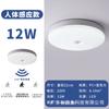 Luz de Techo con Sensor LED Luz de Sensor Inteligente Controlada por Voz Luz para Escaleras Pasillo Luz de Techo con Sensor de Radar Humano Venta al por Mayor