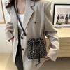 Bolso bandolera tipo cubo con estampado de leopardo, sencillo, de otoño 2024, moderno, estilo occidental, informal, para uso diario