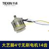 Ensamblaje de Motor para Motosierra Eléctrica sin Escobillas de 4 pulgadas, 6 pulgadas, 8 pulgadas con Conector de Pin Grande Motor para Sierra de una Mano 02644