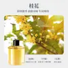 Difusor Automático de Fragancia para Coche con Techo de Cielo Estrellado, Aroma Ligero de Larga Duración para Eliminar Olores del Coche, Máquina de Perfume para Coche al por Mayor