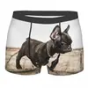 Dropshipping com Fotos Pode Ser Transformado em Cueca Boxer Masculina Elástica Confortável Respirável Estampada com Gato 3D para Animais de Estimação e Cachorros