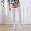 Meias Brancas Masculinas Estilo Japonês Extra Longas Acima do Joelho Tendência Veludo Super Elásticas Meias de Coxa Alta Primavera e Outono Finas