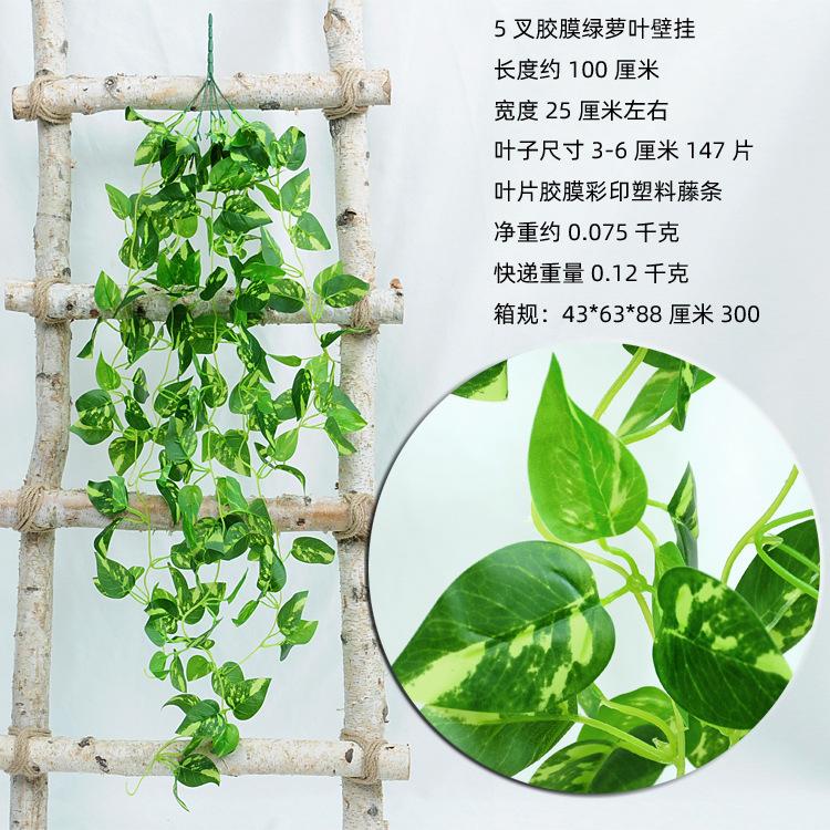 5叉胶膜绿萝叶壁挂