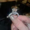 Fresco e radiante! Anel de dedo indicador borboleta oval flor zircônia nicho alta qualidade joia de mão moda luxo leve para mulheres