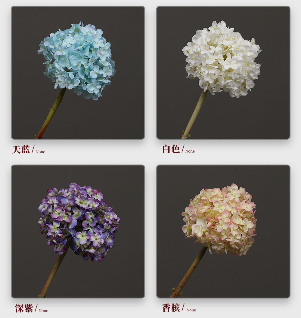 54.拉力花_04.jpg