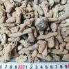 Material Filtrante para Acuario Hueso de Coral Anillo Cerámico Piedra Volcánica Casa Bacteriana Material Filtrante Decoración de Paisaje de Acuario Arena Base Envío Gratis