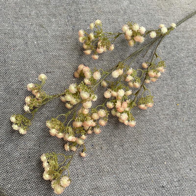 糖果粉