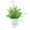 Flores Artificiais de Simulação Decorações Criativas para Mesa de Casa Flores de Plástico Grama Artificial Plantas Verdes Decorações de Interior Mini Decorações Bonsai