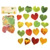 Poesía de Azúcar Planta Hoja Serie Naturaleza "Una Hoja Conoce el Otoño" Paquete de Pegatinas Material para Diario INS 40 Piezas 6 Diseños