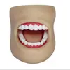 Cuidado dental salud modelo oral dental materiales dentales modelo de dentadura postiza enseñanza práctica