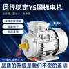 Motor Asíncrono Trifásico de Cobre Puro Estándar Nacional YS con Carcasa de Aluminio 380V 0.37/0.55/0.75/1.1/1.5/2.2KW