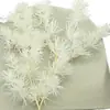 Flores Eternas Hojas de Pino 2g Materiales de Flores Eternas Kit de Materiales Hecho a Mano para DIY Caja de Regalo Vidrio