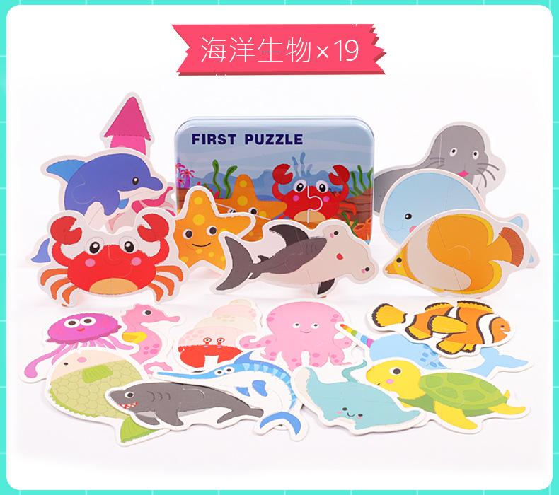 海洋生物.jpg