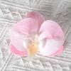 Película de Impresión 3D de Simulación Cabeza de Flor de Phalaenopsis Hecha a Mano Flor de Phalaenopsis Regalo de Boda Pétalo Horquilla Decoración