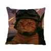 Almohada de Gato Mayor de Cabeza Redonda Hakimi Almohada de Gato Creativa de Doble Cara Cojín de Sofá de Meme de Gato Fabricante de Origen